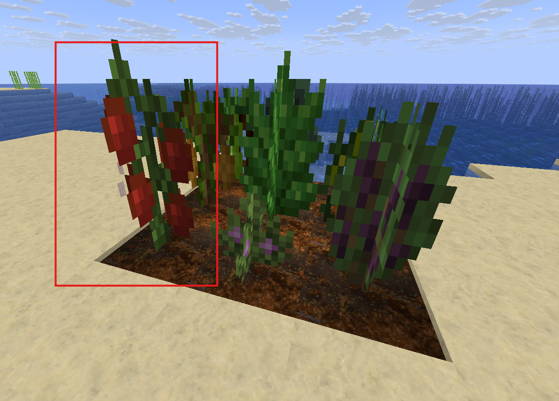 A mature tomato crop highlighted before it is broken