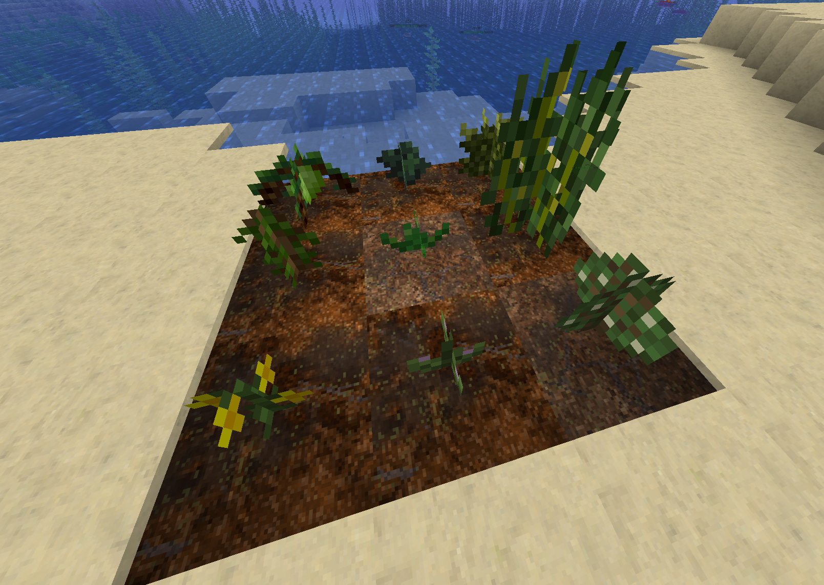A field of custom crops showing early and intermediate growth stages